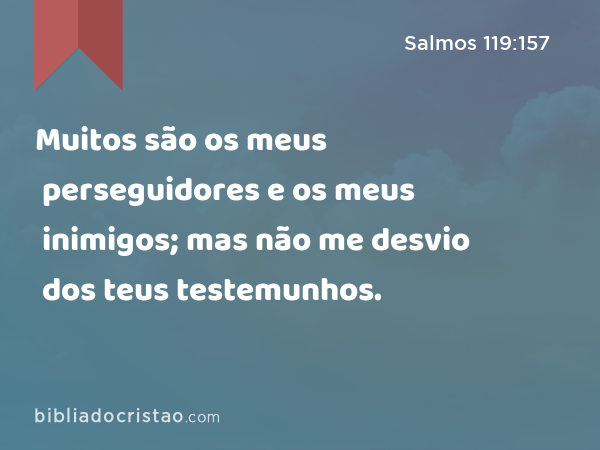 Muitos são os meus perseguidores e os meus inimigos; mas não me desvio dos teus testemunhos. - Salmos 119:157