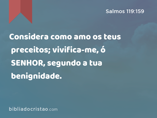 Considera como amo os teus preceitos; vivifica-me, ó SENHOR, segundo a tua benignidade. - Salmos 119:159