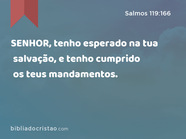 SENHOR, tenho esperado na tua salvação, e tenho cumprido os teus mandamentos. - Salmos 119:166