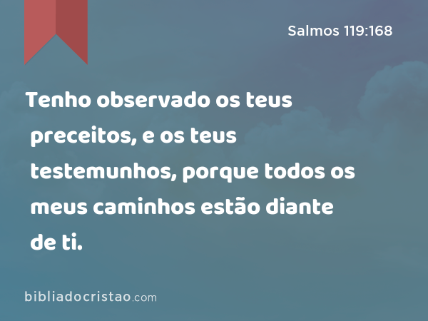 Tenho observado os teus preceitos, e os teus testemunhos, porque todos os meus caminhos estão diante de ti. - Salmos 119:168