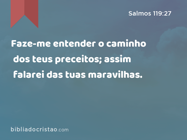 Faze-me entender o caminho dos teus preceitos; assim falarei das tuas maravilhas. - Salmos 119:27