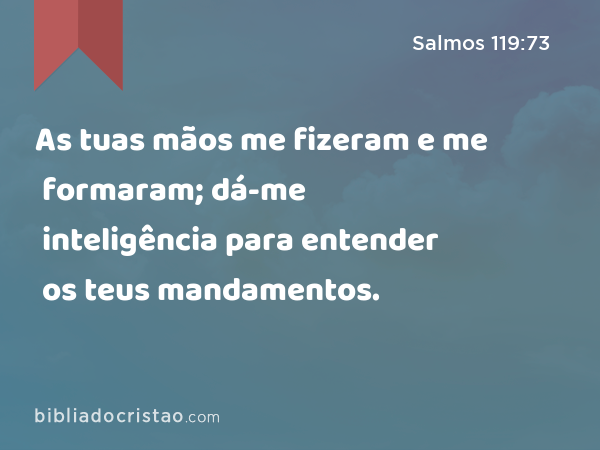 As tuas mãos me fizeram e me formaram; dá-me inteligência para entender os teus mandamentos. - Salmos 119:73