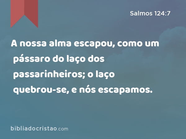 A nossa alma escapou, como um pássaro do laço dos passarinheiros; o laço quebrou-se, e nós escapamos. - Salmos 124:7