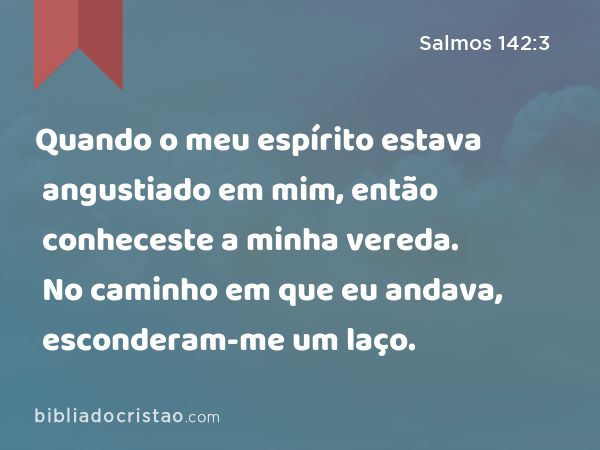 Quando o meu espírito estava angustiado em mim, então conheceste a minha vereda. No caminho em que eu andava, esconderam-me um laço. - Salmos 142:3