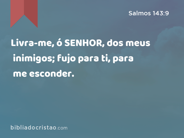 Livra-me, ó SENHOR, dos meus inimigos; fujo para ti, para me esconder. - Salmos 143:9