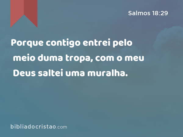 Porque contigo entrei pelo meio duma tropa, com o meu Deus saltei uma muralha. - Salmos 18:29