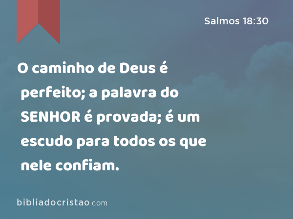 O caminho de Deus é perfeito; a palavra do SENHOR é provada; é um escudo para todos os que nele confiam. - Salmos 18:30