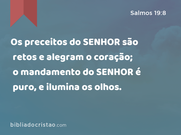 Os preceitos do SENHOR são retos e alegram o coração; o mandamento do SENHOR é puro, e ilumina os olhos. - Salmos 19:8