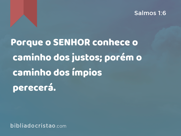 Porque o SENHOR conhece o caminho dos justos; porém o caminho dos ímpios perecerá. - Salmos 1:6