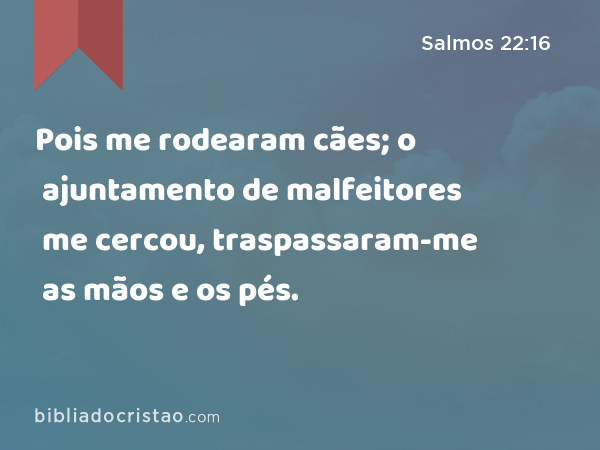 Pois me rodearam cães; o ajuntamento de malfeitores me cercou, traspassaram-me as mãos e os pés. - Salmos 22:16