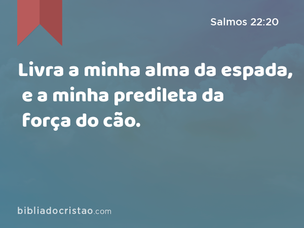 Livra a minha alma da espada, e a minha predileta da força do cão. - Salmos 22:20