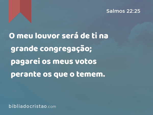 O meu louvor será de ti na grande congregação; pagarei os meus votos perante os que o temem. - Salmos 22:25