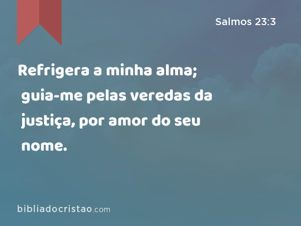 Refrigera a minha alma; guia-me pelas veredas da justiça, por amor do seu nome. - Salmos 23:3