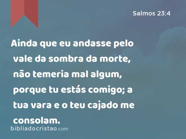 Ainda que eu andasse pelo vale da sombra da morte, não temeria mal algum, porque tu estás comigo; a tua vara e o teu cajado me consolam. - Salmos 23:4