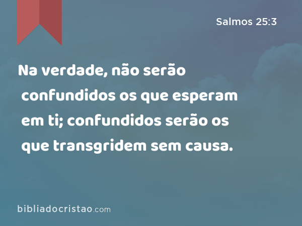 Na verdade, não serão confundidos os que esperam em ti; confundidos serão os que transgridem sem causa. - Salmos 25:3