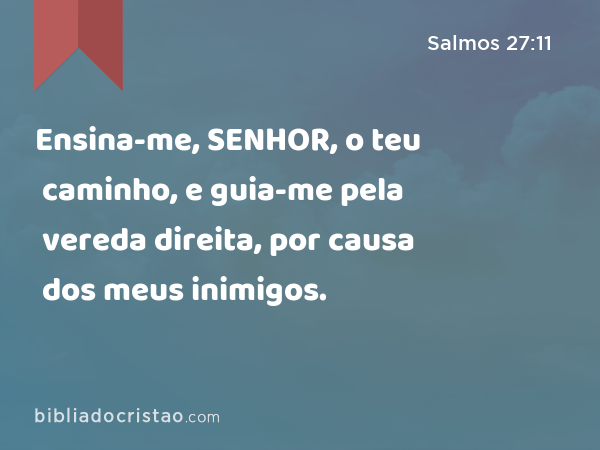 Ensina-me, SENHOR, o teu caminho, e guia-me pela vereda direita, por causa dos meus inimigos. - Salmos 27:11