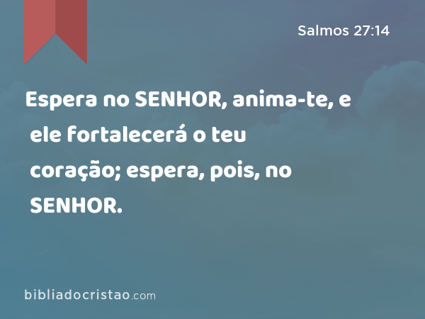 Espera no SENHOR, anima-te, e ele fortalecerá o teu coração; espera, pois, no SENHOR. - Salmos 27:14