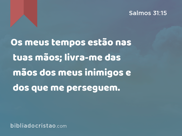 Os meus tempos estão nas tuas mãos; livra-me das mãos dos meus inimigos e dos que me perseguem. - Salmos 31:15