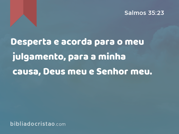 Desperta e acorda para o meu julgamento, para a minha causa, Deus meu e Senhor meu. - Salmos 35:23