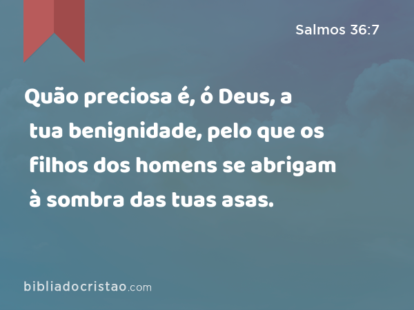 Quão preciosa é, ó Deus, a tua benignidade, pelo que os filhos dos homens se abrigam à sombra das tuas asas. - Salmos 36:7