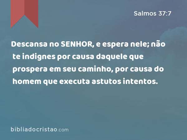 Descansa no SENHOR, e espera nele; não te indignes por causa daquele que prospera em seu caminho, por causa do homem que executa astutos intentos. - Salmos 37:7