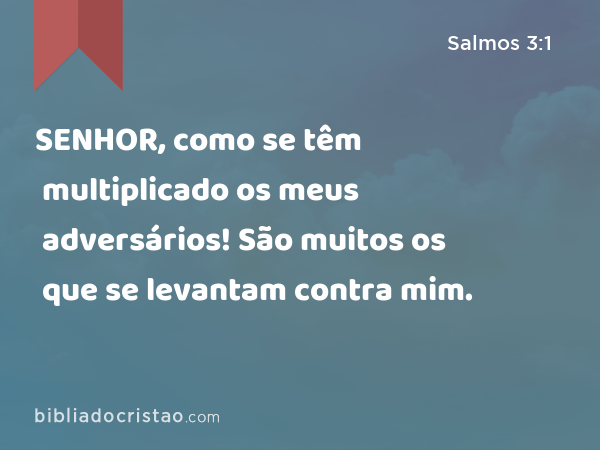 SENHOR, como se têm multiplicado os meus adversários! São muitos os que se levantam contra mim. - Salmos 3:1