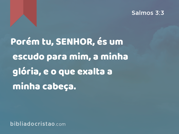 Porém tu, SENHOR, és um escudo para mim, a minha glória, e o que exalta a minha cabeça. - Salmos 3:3