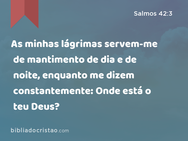 As minhas lágrimas servem-me de mantimento de dia e de noite, enquanto me dizem constantemente: Onde está o teu Deus? - Salmos 42:3