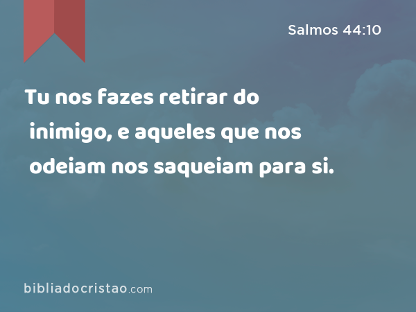 Tu nos fazes retirar do inimigo, e aqueles que nos odeiam nos saqueiam para si. - Salmos 44:10