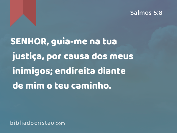 SENHOR, guia-me na tua justiça, por causa dos meus inimigos; endireita diante de mim o teu caminho. - Salmos 5:8