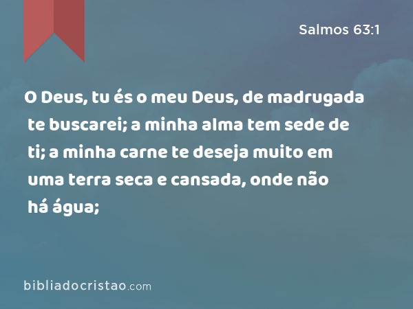 O Deus, tu és o meu Deus, de madrugada te buscarei; a minha alma tem sede de ti; a minha carne te deseja muito em uma terra seca e cansada, onde não há água; - Salmos 63:1