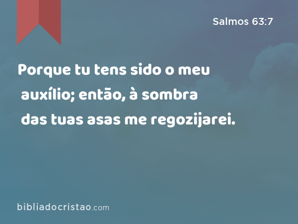 Porque tu tens sido o meu auxílio; então, à sombra das tuas asas me regozijarei. - Salmos 63:7