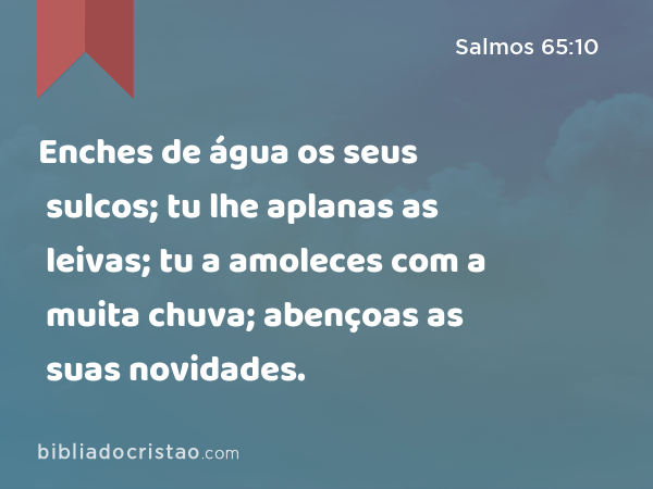 Enches de água os seus sulcos; tu lhe aplanas as leivas; tu a amoleces com a muita chuva; abençoas as suas novidades. - Salmos 65:10