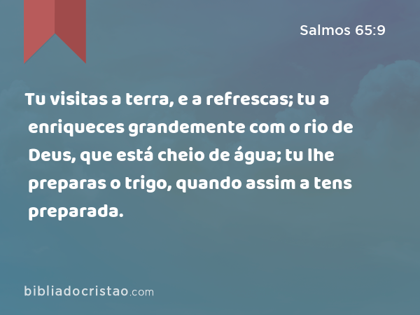 Tu visitas a terra, e a refrescas; tu a enriqueces grandemente com o rio de Deus, que está cheio de água; tu lhe preparas o trigo, quando assim a tens preparada. - Salmos 65:9