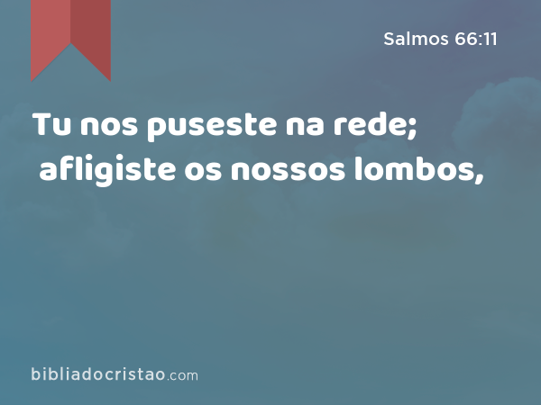 Tu nos puseste na rede; afligiste os nossos lombos, - Salmos 66:11