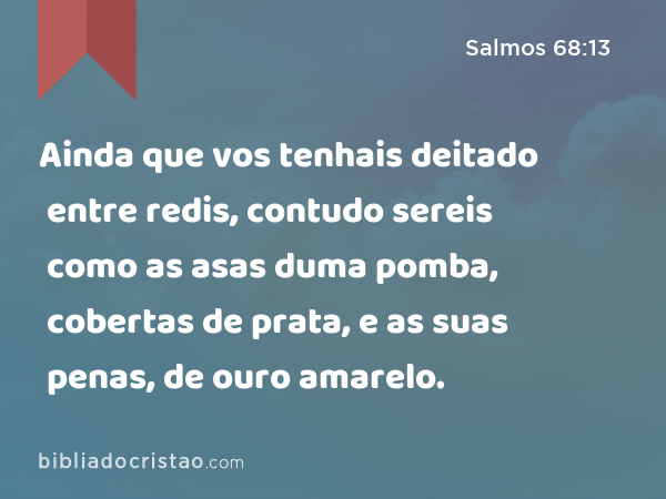 Ainda que vos tenhais deitado entre redis, contudo sereis como as asas duma pomba, cobertas de prata, e as suas penas, de ouro amarelo. - Salmos 68:13