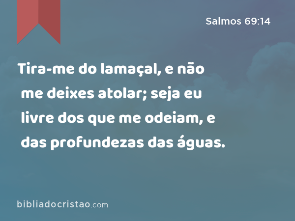 Tira-me do lamaçal, e não me deixes atolar; seja eu livre dos que me odeiam, e das profundezas das águas. - Salmos 69:14