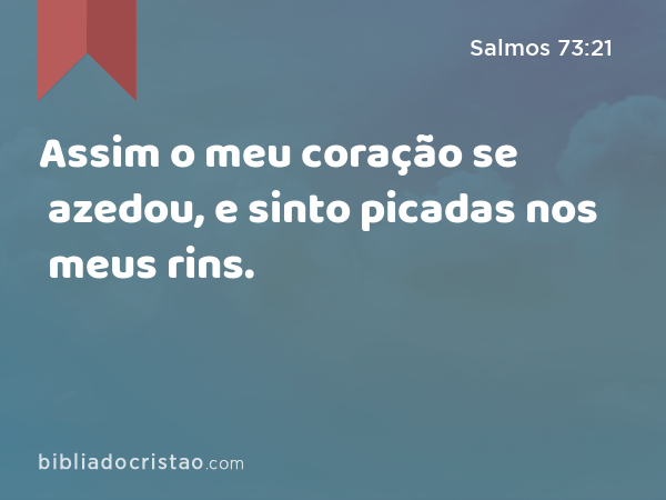 Assim o meu coração se azedou, e sinto picadas nos meus rins. - Salmos 73:21