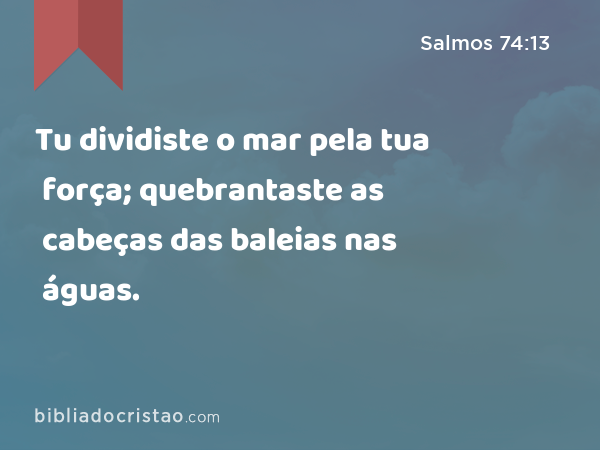 Tu dividiste o mar pela tua força; quebrantaste as cabeças das baleias nas águas. - Salmos 74:13