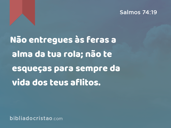 Não entregues às feras a alma da tua rola; não te esqueças para sempre da vida dos teus aflitos. - Salmos 74:19