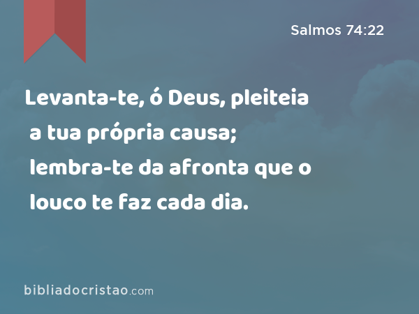 Levanta-te, ó Deus, pleiteia a tua própria causa; lembra-te da afronta que o louco te faz cada dia. - Salmos 74:22