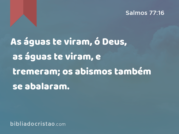 As águas te viram, ó Deus, as águas te viram, e tremeram; os abismos também se abalaram. - Salmos 77:16