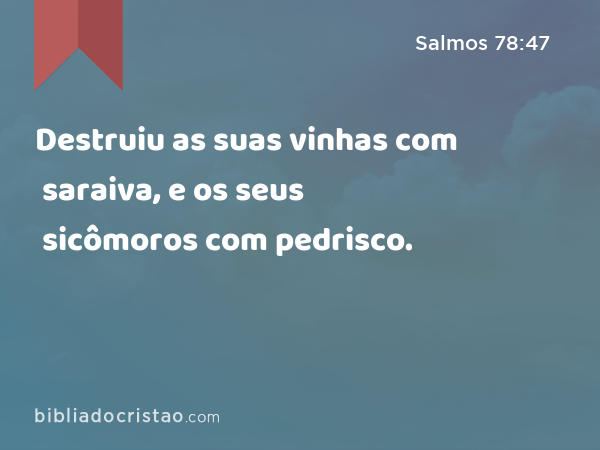 Destruiu as suas vinhas com saraiva, e os seus sicômoros com pedrisco. - Salmos 78:47