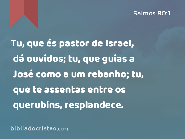 Tu, que és pastor de Israel, dá ouvidos; tu, que guias a José como a um rebanho; tu, que te assentas entre os querubins, resplandece. - Salmos 80:1