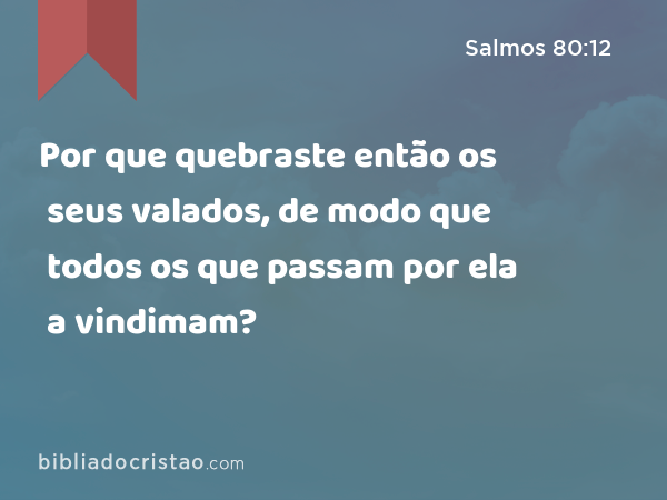 Por que quebraste então os seus valados, de modo que todos os que passam por ela a vindimam? - Salmos 80:12