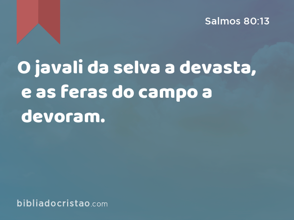 O javali da selva a devasta, e as feras do campo a devoram. - Salmos 80:13