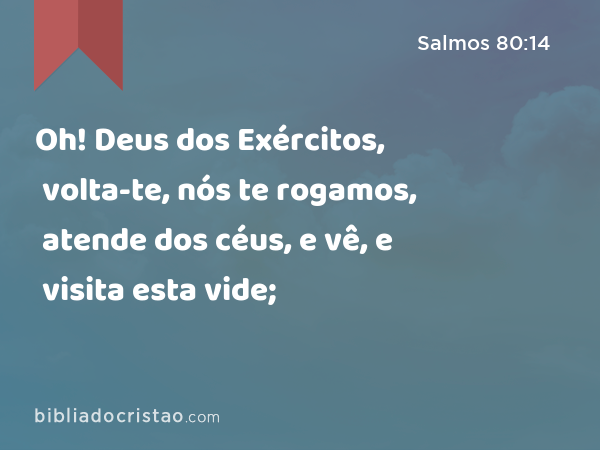 Oh! Deus dos Exércitos, volta-te, nós te rogamos, atende dos céus, e vê, e visita esta vide; - Salmos 80:14