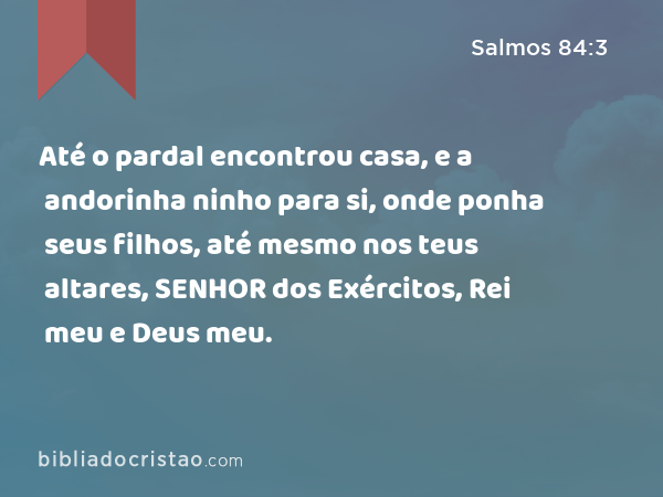 Até o pardal encontrou casa, e a andorinha ninho para si, onde ponha seus filhos, até mesmo nos teus altares, SENHOR dos Exércitos, Rei meu e Deus meu. - Salmos 84:3