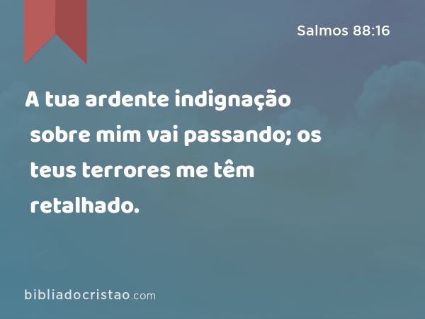 A tua ardente indignação sobre mim vai passando; os teus terrores me têm retalhado. - Salmos 88:16