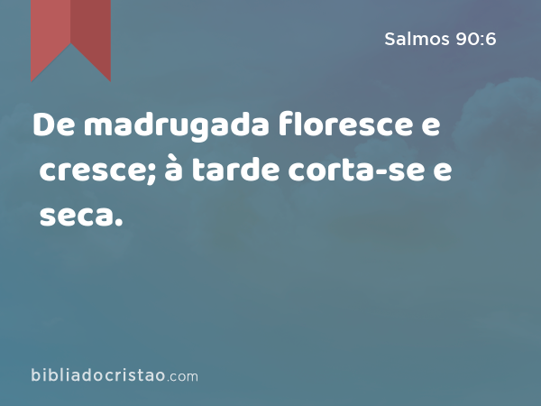 De madrugada floresce e cresce; à tarde corta-se e seca. - Salmos 90:6